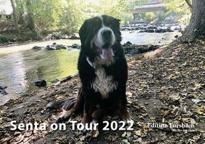 Buchcover Senta on Tour 2022 | Beate Forsbach | EAN 9783959041843 | ISBN 3-95904-184-5 | ISBN 978-3-95904-184-3