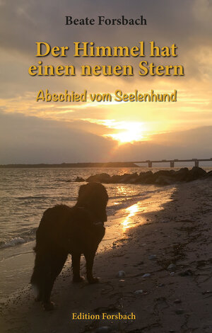 Buchcover Der Himmel hat einen neuen Stern | Beate Forsbach | EAN 9783959041973 | ISBN 3-95904-197-7 | ISBN 978-3-95904-197-3