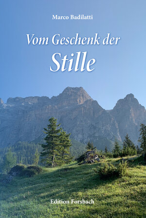 Buchcover Vom Geschenk der Stille | Marco Badilatti | EAN 9783959042178 | ISBN 3-95904-217-5 | ISBN 978-3-95904-217-8