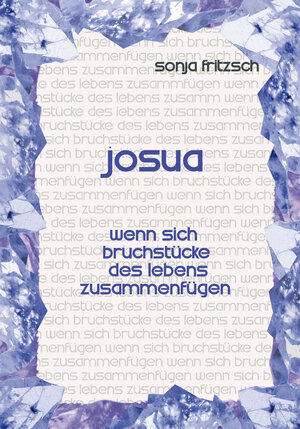 Buchcover JOSUA | Sonja Fritzsch | EAN 9783959150354 | ISBN 3-95915-035-0 | ISBN 978-3-95915-035-4