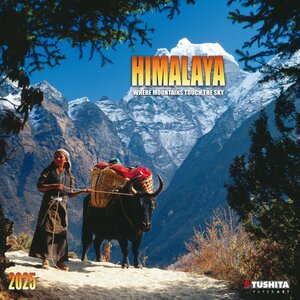 Buchcover Himalaya 2025  | EAN 9783959293792 | ISBN 3-95929-379-8 | ISBN 978-3-95929-379-2