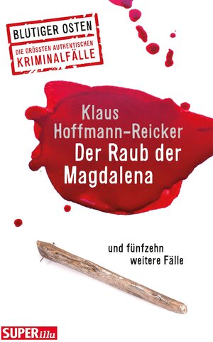 Buchcover Der Raub der Magdalena | Klaus Hoffmann-Reicker | EAN 9783959582070 | ISBN 3-95958-207-2 | ISBN 978-3-95958-207-0