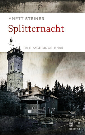 Buchcover Splitternacht | Anett Steiner | EAN 9783959582254 | ISBN 3-95958-225-0 | ISBN 978-3-95958-225-4