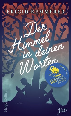 Buchcover Der Himmel in deinen Worten | Brigid Kemmerer | EAN 9783959671644 | ISBN 3-95967-164-4 | ISBN 978-3-95967-164-4