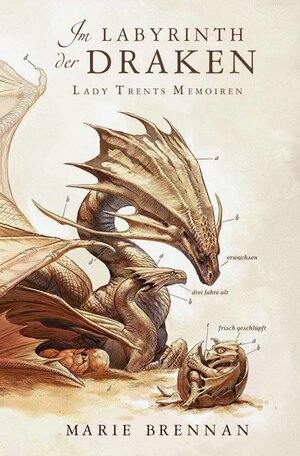Buchcover Lady Trents Memoiren 4: Im Labyrinth der Draken | Marie Brennan | EAN 9783959818070 | ISBN 3-95981-807-6 | ISBN 978-3-95981-807-0