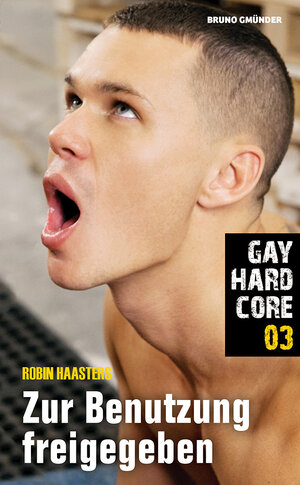 Buchcover Gay Hardcore 03: Zur Benutzung freigegeben | Robin Haasters | EAN 9783959850339 | ISBN 3-95985-033-6 | ISBN 978-3-95985-033-9