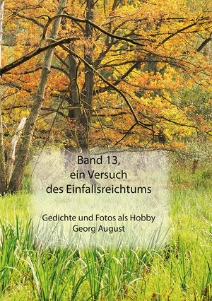 Buchcover Band 13, ein Versuch des Einfallsreichtums | Georg August | EAN 9783960041542 | ISBN 3-96004-154-3 | ISBN 978-3-96004-154-2