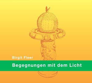 Buchcover Begegnungen mit dem Licht | Birgit Fleer | EAN 9783960141136 | ISBN 3-96014-113-0 | ISBN 978-3-96014-113-6