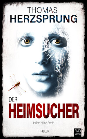 Buchcover Der Heimsucher – Jedem seine Strafe | Thomas Herzsprung | EAN 9783960320678 | ISBN 3-96032-067-1 | ISBN 978-3-96032-067-8