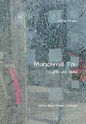 Buchcover Manchmal Tau | Volker Friebel | EAN 9783960390312 | ISBN 3-96039-031-9 | ISBN 978-3-96039-031-2