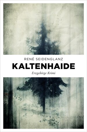 Buchcover Kaltenhaide | René Seidenglanz | EAN 9783960417811 | ISBN 3-96041-781-0 | ISBN 978-3-96041-781-1