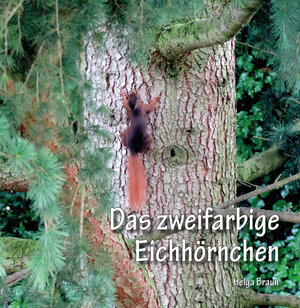 Buchcover Das zweifarbige Eichhörnchen | Helga Braun | EAN 9783960742715 | ISBN 3-96074-271-1 | ISBN 978-3-96074-271-5