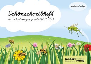 Buchcover Schönschreibheft in SAS | Anja Wachendorf | EAN 9783960811619 | ISBN 3-96081-161-6 | ISBN 978-3-96081-161-9