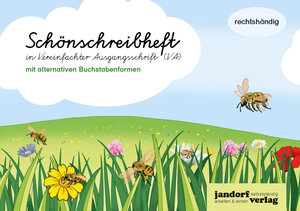 Buchcover Schönschreibheft in VA (mit alternativen Buchstabenformen) | Anja Wachendorf | EAN 9783960811640 | ISBN 3-96081-164-0 | ISBN 978-3-96081-164-0