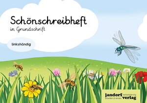Buchcover Schönschreibheft in GS | Anja Wachendorf | EAN 9783960811732 | ISBN 3-96081-173-X | ISBN 978-3-96081-173-2