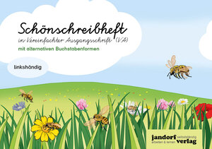 Buchcover Schönschreibheft in VA (mit alternativen Buchstabenformen) | Anja Wachendorf | EAN 9783960811749 | ISBN 3-96081-174-8 | ISBN 978-3-96081-174-9