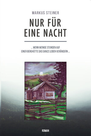 Buchcover Nur für eine Nacht | Markus Steiner | EAN 9783961035038 | ISBN 3-96103-503-2 | ISBN 978-3-96103-503-8