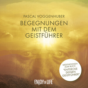Buchcover Begegnungen mit dem Geistführer | Pascal Voggenhuber | EAN 9783961110155 | ISBN 3-96111-015-8 | ISBN 978-3-96111-015-5