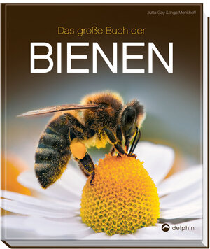 Buchcover Das große Buch der Bienen | Jutta Gay | EAN 9783961284207 | ISBN 3-96128-420-2 | ISBN 978-3-96128-420-7