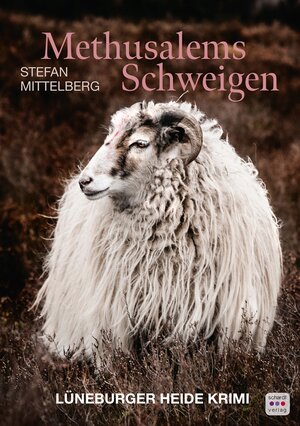 Buchcover Methusalems Schweigen | Stefan Mittelberg | EAN 9783961522071 | ISBN 3-96152-207-3 | ISBN 978-3-96152-207-1