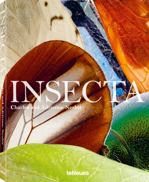Buchcover Insecta | Charles Nesbit | EAN 9783961710003 | ISBN 3-96171-000-7 | ISBN 978-3-96171-000-3