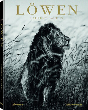 Buchcover Löwen | Laurent Baheux | EAN 9783961712243 | ISBN 3-96171-224-7 | ISBN 978-3-96171-224-3