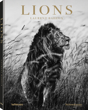 Buchcover Lions | Laurent Baheux | EAN 9783961712342 | ISBN 3-96171-234-4 | ISBN 978-3-96171-234-2