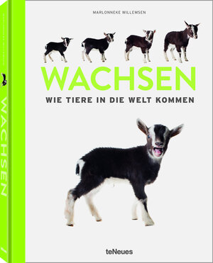 Buchcover Wachsen | Marlonneke Willemsen | EAN 9783961713356 | ISBN 3-96171-335-9 | ISBN 978-3-96171-335-6