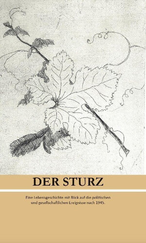 Buchcover Der Sturz | Gerda Lincke | EAN 9783962004545 | ISBN 3-96200-454-8 | ISBN 978-3-96200-454-5