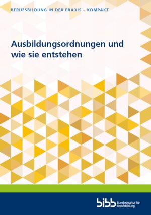 Buchcover Ausbildungsordnungen und wie sie entstehen  | EAN 9783962084172 | ISBN 3-96208-417-7 | ISBN 978-3-96208-417-2