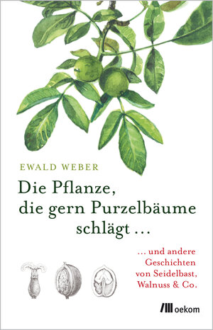 Buchcover Die Pflanze, die gern Purzelbäume schlägt … | Ewald Weber | EAN 9783962384708 | ISBN 3-96238-470-7 | ISBN 978-3-96238-470-8