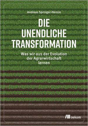 Buchcover Die unendliche Transformation | Andreas Springer-Heinze | EAN 9783962385989 | ISBN 3-96238-598-3 | ISBN 978-3-96238-598-9