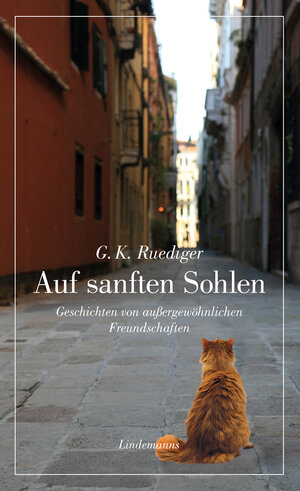 Buchcover Auf sanften Sohlen | G.K. Ruediger | EAN 9783963081699 | ISBN 3-96308-169-4 | ISBN 978-3-96308-169-9