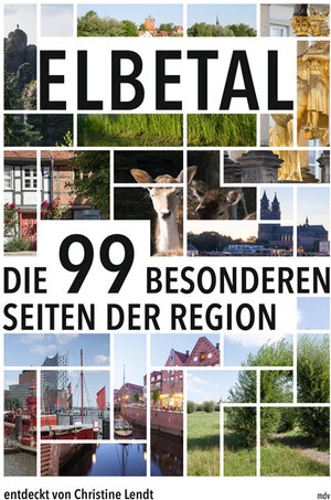Buchcover Elbetal | Christine Lendt | EAN 9783963111358 | ISBN 3-96311-135-6 | ISBN 978-3-96311-135-8