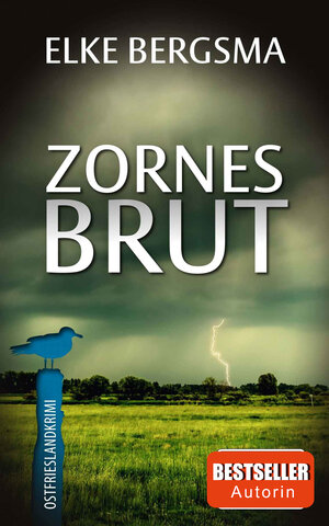 Buchcover Zornesbrut | Elke Bergsma | EAN 9783963571152 | ISBN 3-96357-115-2 | ISBN 978-3-96357-115-2