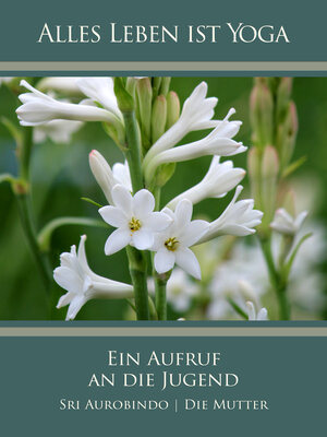 Buchcover Ein Aufruf an die Jugend | Sri Aurobindo | EAN 9783963871603 | ISBN 3-96387-160-1 | ISBN 978-3-96387-160-3