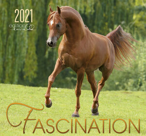 Buchcover Fascination 2021  | EAN 9783964120311 | ISBN 3-96412-031-6 | ISBN 978-3-96412-031-1