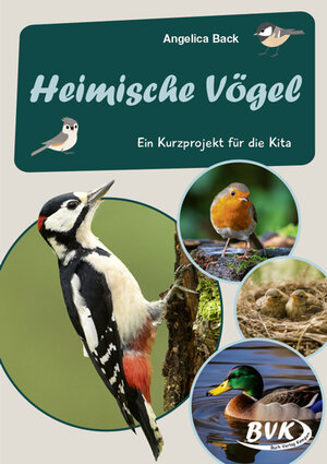 Buchcover Heimische Vögel - | Angelica Back | EAN 9783965201743 | ISBN 3-96520-174-3 | ISBN 978-3-96520-174-3