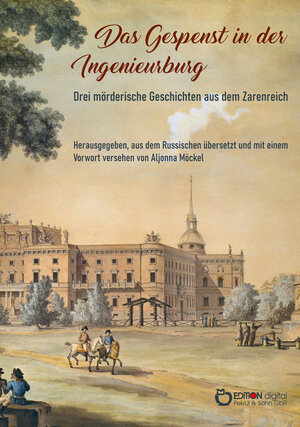 Buchcover Das Gespenst in der Ingenieurburg | Alexej Tolstoi | EAN 9783965214392 | ISBN 3-96521-439-X | ISBN 978-3-96521-439-2