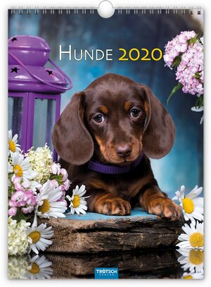 Buchcover Classickalender "Hunde" 2020 | EAN 9783965520325 | ISBN 3-96552-032-6 | ISBN 978-3-96552-032-5