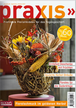 Buchcover PRAXIS Nr. 89 | Team PRAXIS | EAN 9783965630154 | ISBN 3-96563-015-6 | ISBN 978-3-96563-015-4