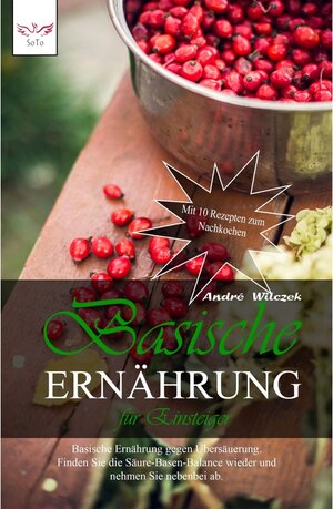 Buchcover Basische Ernährung für Einsteiger | André Wilczek | EAN 9783966612760 | ISBN 3-96661-276-3 | ISBN 978-3-96661-276-0