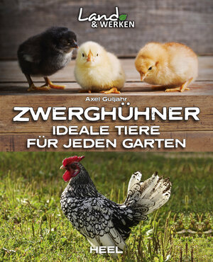 Buchcover Zwerghühner: Ideale Tiere für jeden Garten | Axel Gutjahr | EAN 9783966641296 | ISBN 3-96664-129-1 | ISBN 978-3-96664-129-6