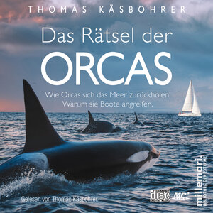 Buchcover Das Rätsel der Orcas. | Thomas Käsbohrer | EAN 9783967060652 | ISBN 3-96706-065-9 | ISBN 978-3-96706-065-2