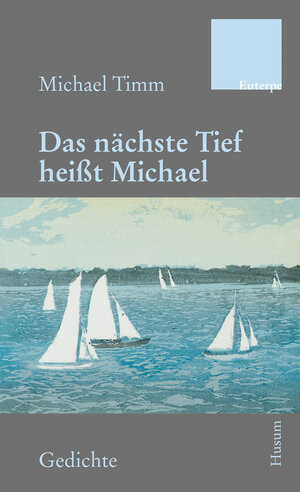 Buchcover Das nächste Tief heißt Michael | Michael Timm | EAN 9783967170641 | ISBN 3-96717-064-0 | ISBN 978-3-96717-064-1