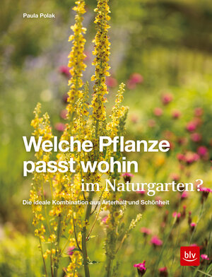 Buchcover Welche Pflanze passt wohin im Naturgarten? | Paula Polak | EAN 9783967470048 | ISBN 3-96747-004-0 | ISBN 978-3-96747-004-8