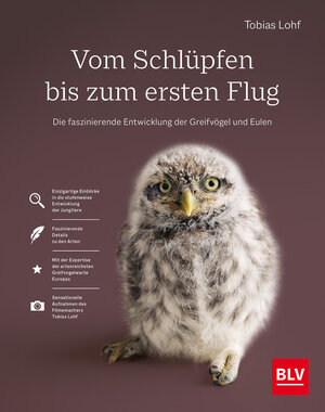 Buchcover Vom Schlüpfen bis zum ersten Flug | Tobias Lohf | EAN 9783967470567 | ISBN 3-96747-056-3 | ISBN 978-3-96747-056-7