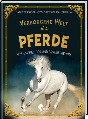 Buchcover Verborgene Welt der Pferde | Babette Pribbenow | EAN 9783968080185 | ISBN 3-96808-018-1 | ISBN 978-3-96808-018-5
