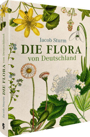 Buchcover Jacob Sturm – Die Flora von Deutschland | Jacob Sturm | EAN 9783968490144 | ISBN 3-96849-014-2 | ISBN 978-3-96849-014-4