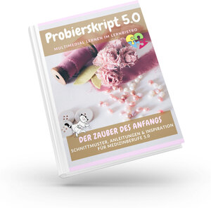 Buchcover Probierskript 5.0 Zauber des Anfangs | Sybille Disse | EAN 9783969460078 | ISBN 3-96946-007-7 | ISBN 978-3-96946-007-8